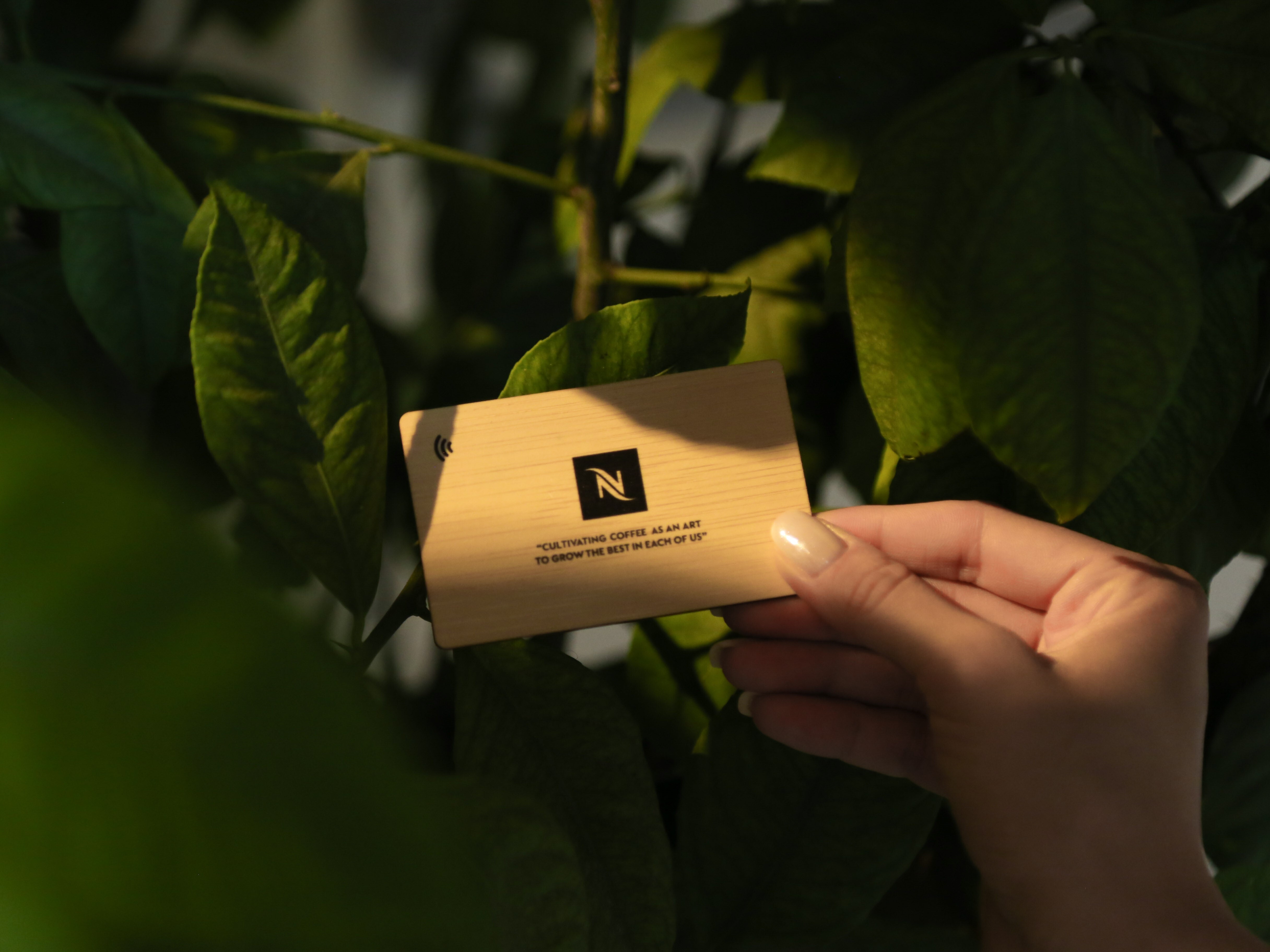 A Big Step on the Sustainability Journey: Digital Business Cards